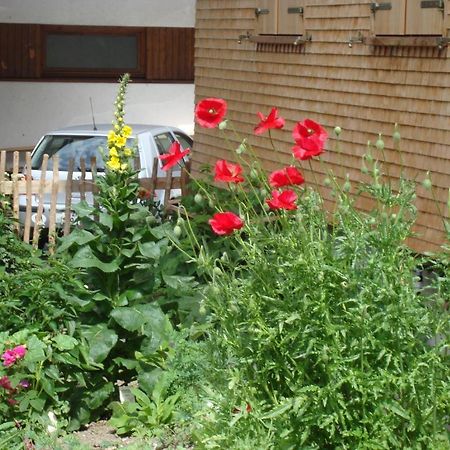Willa Ferienbauernhof Beer Schoppernau Zewnętrze zdjęcie